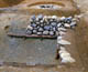FileNo.003-013.jpg