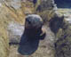 FileNo.003-018.jpg