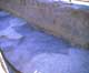FileNo.004b-011.jpg