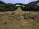 FileNo.006-004.jpg