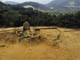 FileNo.006-010.jpg