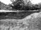 FileNo.006-012.jpg