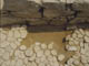 FileNo.006-022.jpg