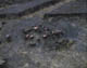 FileNo.007a-031.jpg