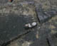 FileNo.007a-032.jpg