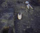 FileNo.007a-035.jpg