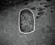 FileNo.007b-008.jpg