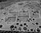 FileNo.008-008.jpg