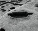 FileNo.008-017.jpg