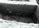 FileNo.008-019.jpg