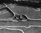 FileNo.008-025.jpg