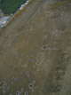 FileNo.009-020.jpg