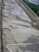 FileNo.009-030.jpg