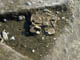 FileNo.009-035.jpg