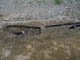 FileNo.009-036.jpg