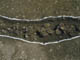FileNo.009-038.jpg