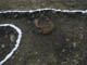 FileNo.009-040.jpg