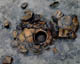 FileNo.010-008.jpg