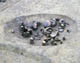 FileNo.010-019.jpg
