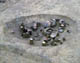 FileNo.010-020.jpg