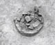 FileNo.010-040.jpg