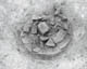 FileNo.010-048.jpg