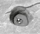FileNo.010-056.jpg