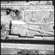 FileNo.KU-0310.jpg