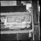 FileNo.KU-0317.jpg