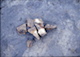 FileNo.S010-093.jpg