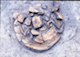 FileNo.S010-095.jpg