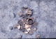 FileNo.S010-096.jpg