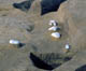 FileNo.011-001.jpg