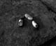 FileNo.011-003.jpg