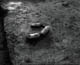 FileNo.011-004.jpg