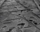 FileNo.011-019.jpg