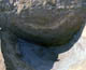 FileNo.011-027.jpg