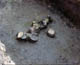 FileNo.011-033.jpg