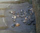 FileNo.011-038.jpg