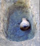 FileNo.011-040.jpg