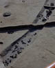 FileNo.011-042.jpg