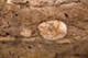 FileNo.BS011-108.jpg