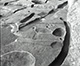 FileNo.ES011-016.jpg