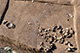 FileNo.ES011-094.jpg