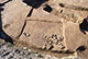 FileNo.ES011-095.jpg