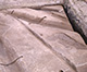 FileNo.JS011-009.jpg
