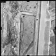 FileNo.KU-0236.jpg