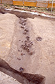FileNo.NS011-084.jpg