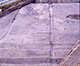 FileNo.PS011-017.jpg