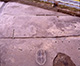 FileNo.PS011-019.jpg